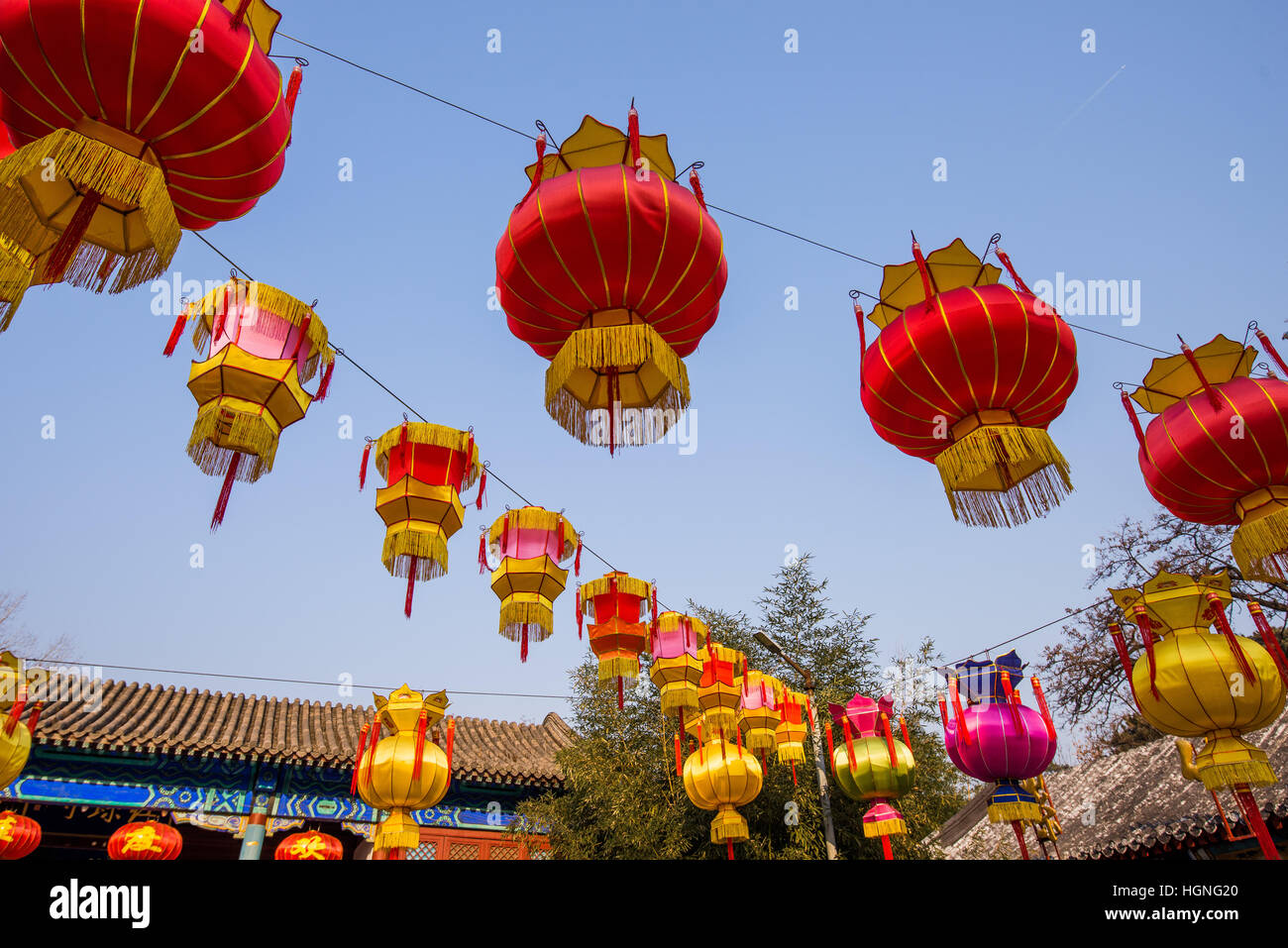 Traditional Chinese Red Lantern Hanging On Tree, celebrating New Year ...