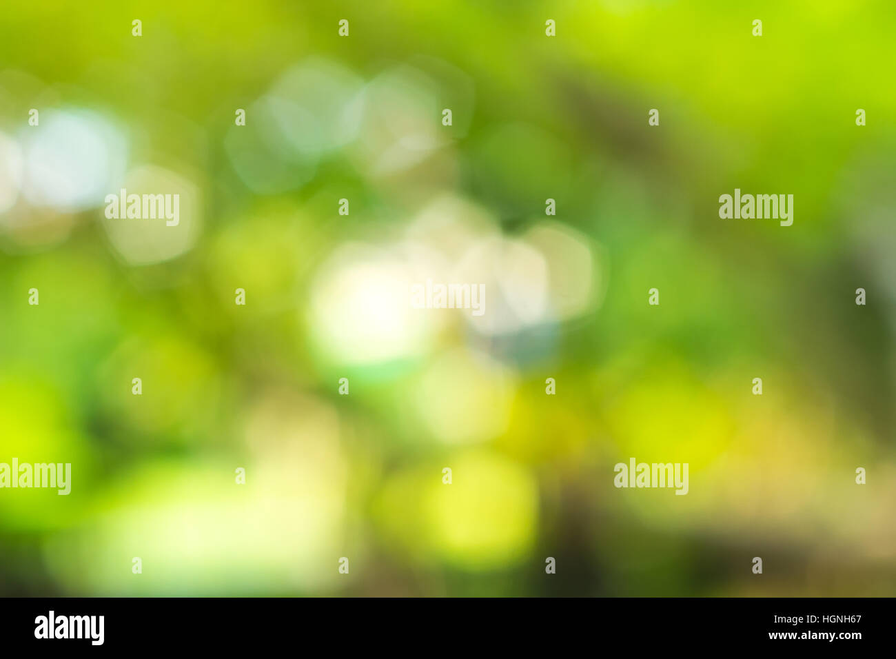 Bokeh Background Out of Focus Background, Nature Blur Background Stock