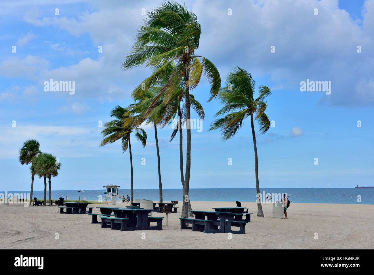 Fort Lauderdale Beach Park, Florida, USA with public picnic tables