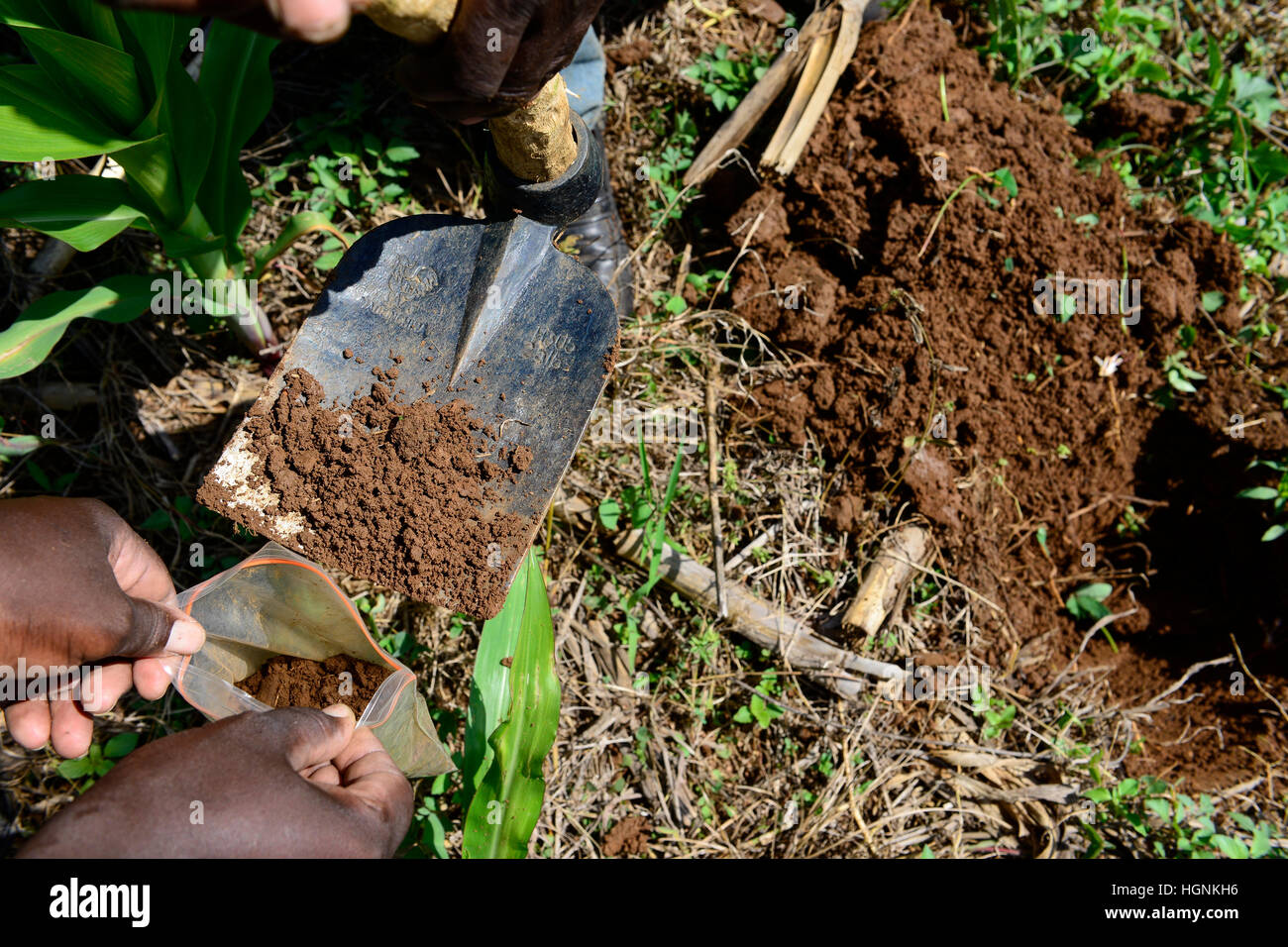KENYA, County Bungoma, Mabanga, agricultural training institute, mobile