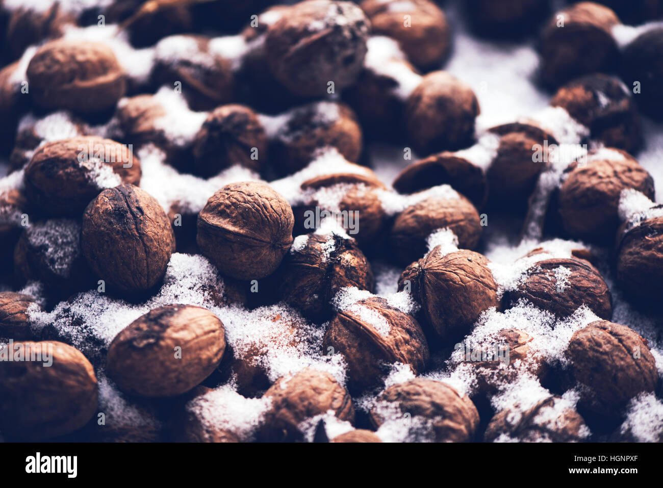 Pile of walnut shells in snow, winter season abstract, selective focus Stock Photo