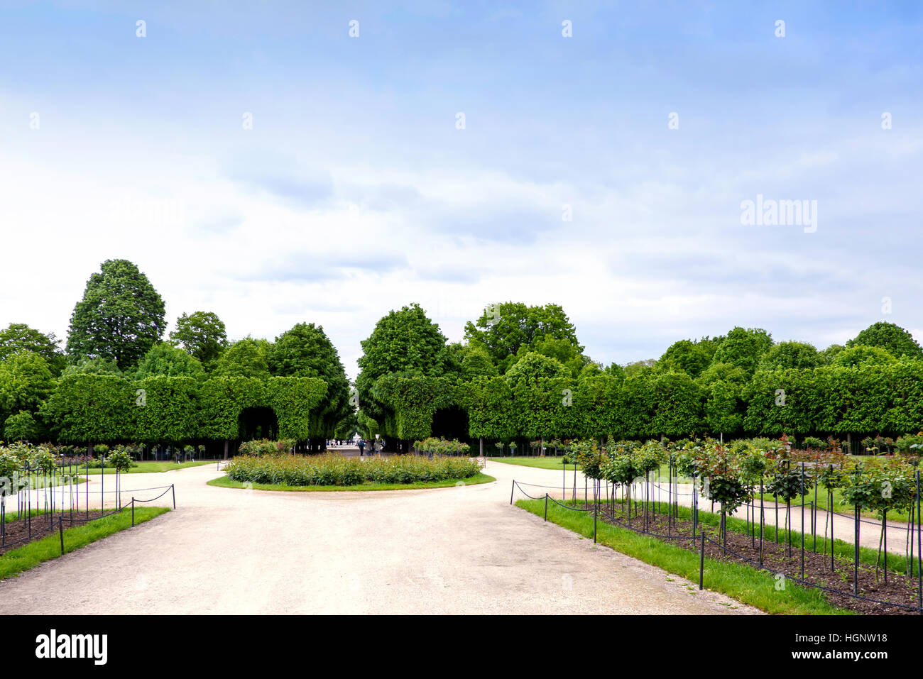 Green labyrinth at schonbrunn garden, the maze at schloss palace