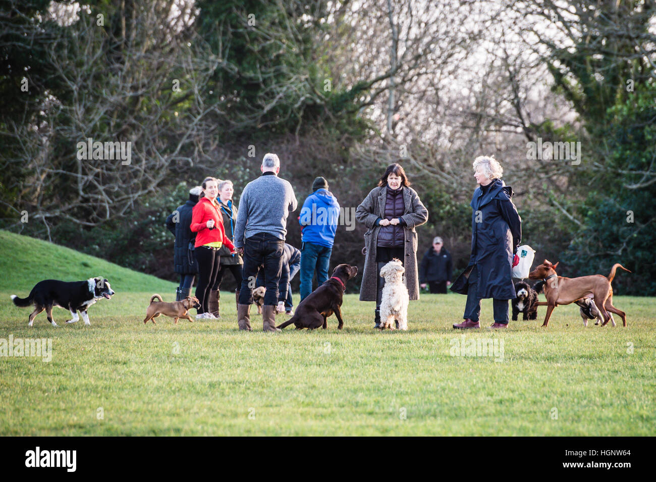 Dog walkers and their dogs on Clifton Downs, Bristol. PRESS ASSOCIATION