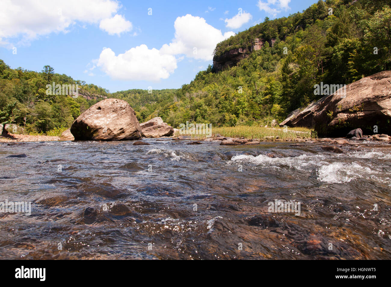 Small rapids on the Big South Fork of the Cumberland River neat Stearns, Kentucky. Stock Photo