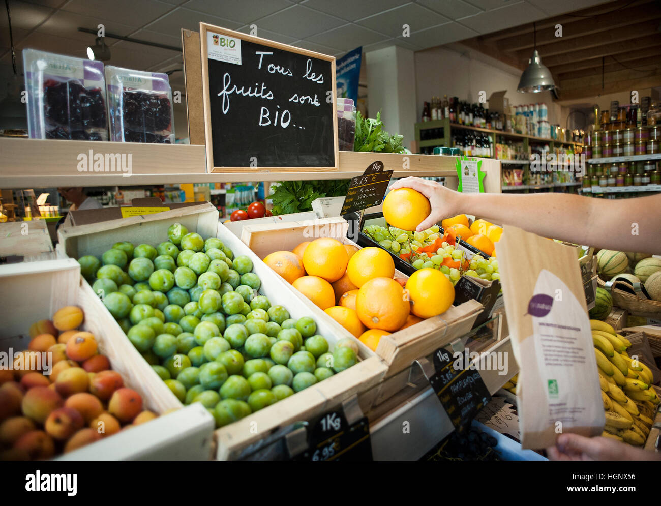 ORGANIC FOOD Stock Photo