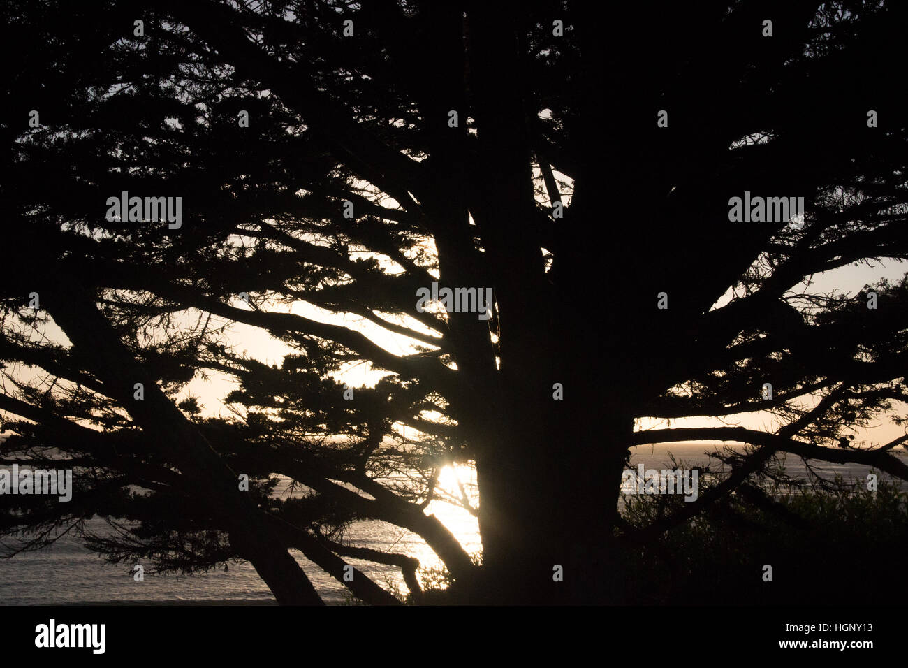 Beachside sunset hi-res stock photography and images - Alamy