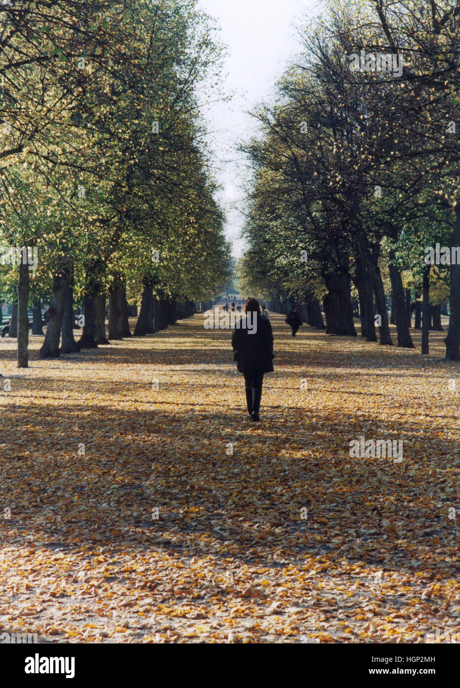 AUTUMN walk at Drottningholm park to the Castle Stock Photo