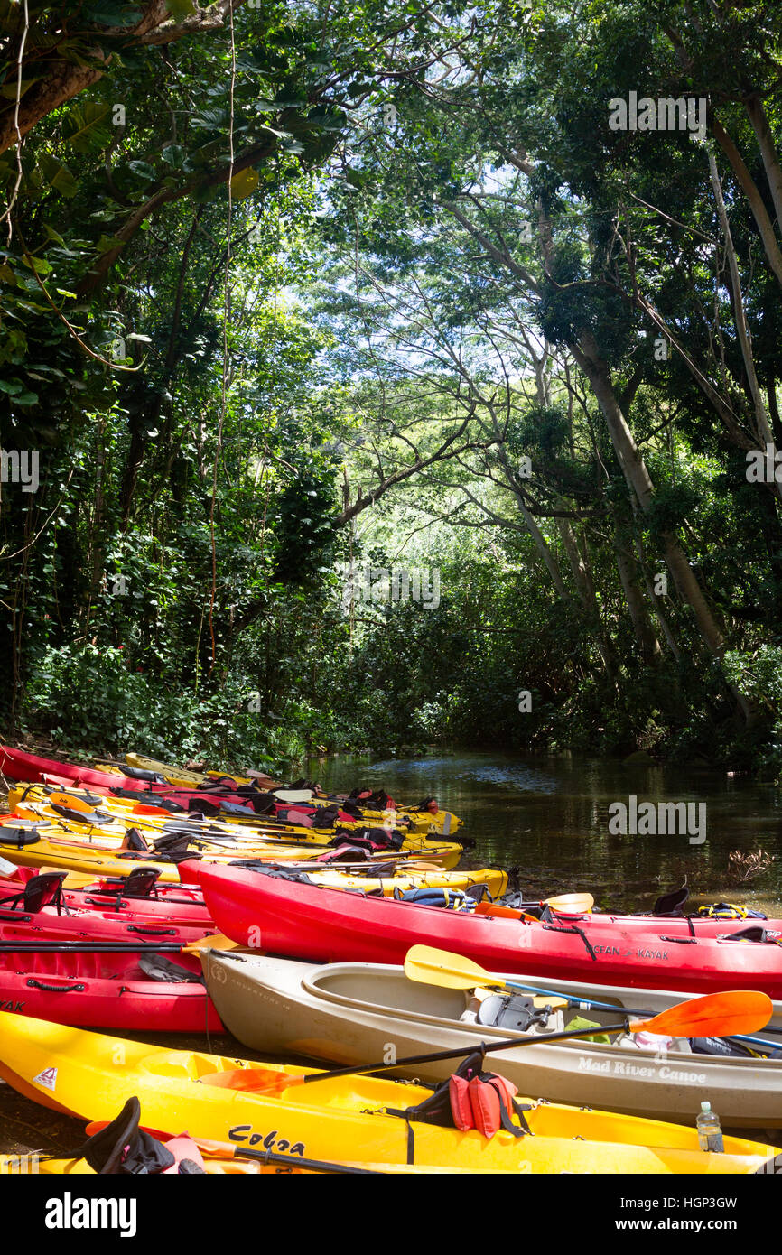 Red and yellow kayaks lying on the river bank of a tributary of the Wailua River on Kauai, Hawaii, USA. Stock Photo