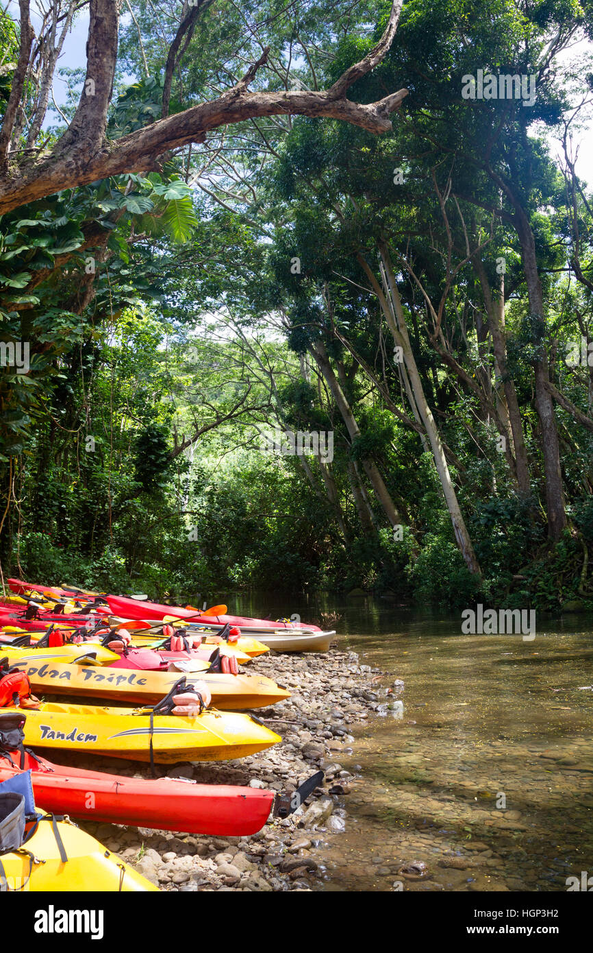 Yellow kayak river hi-res stock photography and images - Alamy