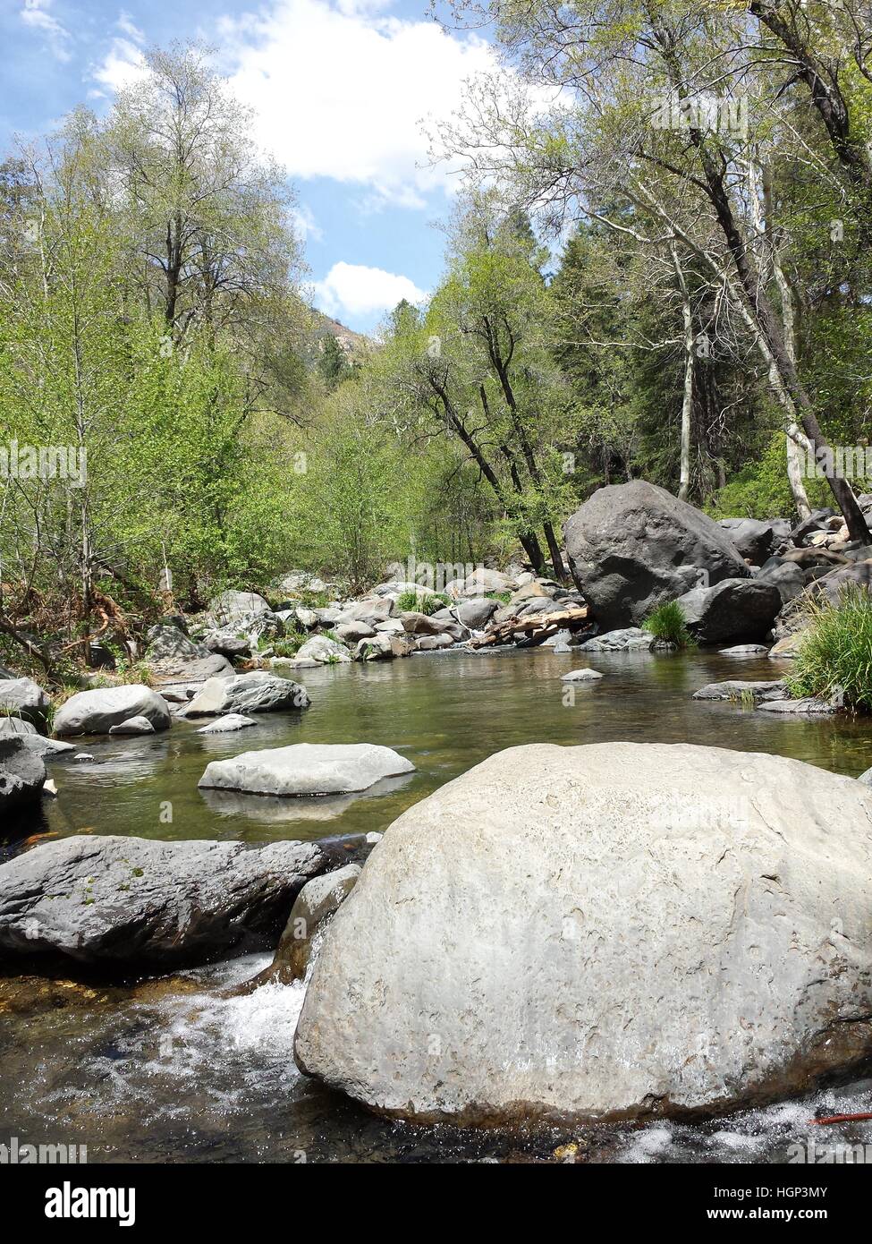 Creek in the woods rocks hi-res stock photography and images - Alamy