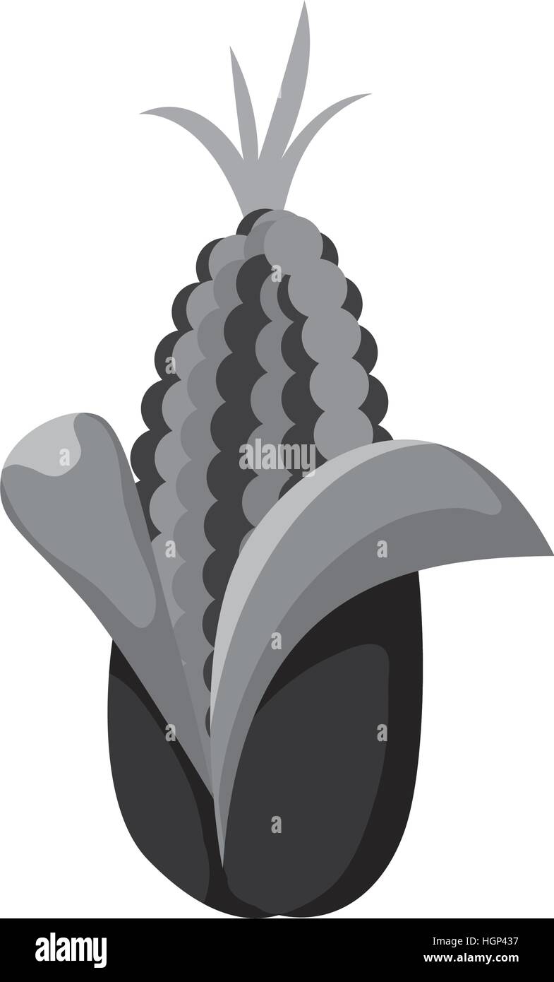 corn vegetable icon image vector illustration design Stock Vector Image ...