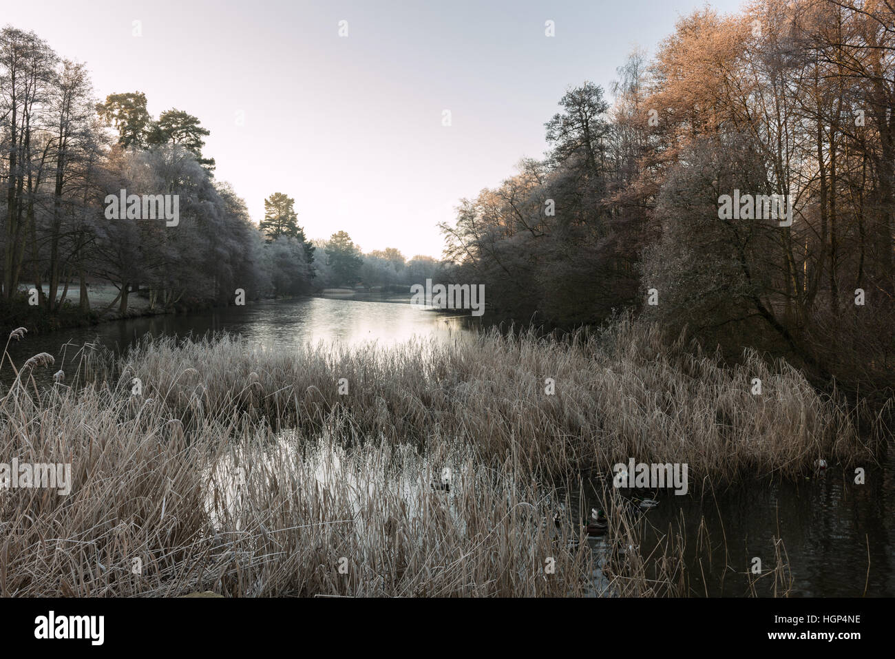 Virginia Water Lake in Winter with Hoare Frost Stock Photo