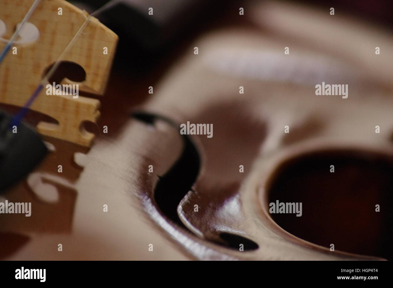 Closeup violin body with light brown bridge reflecting on brown shiny