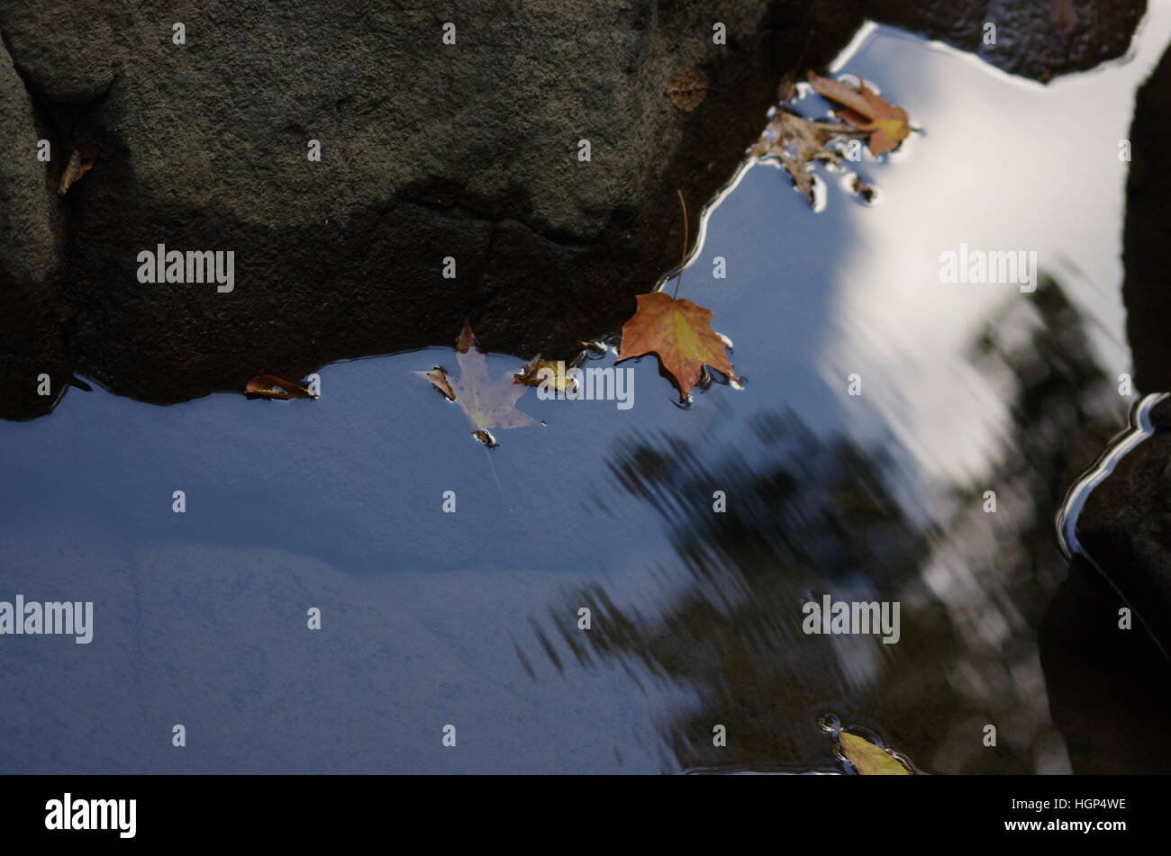 Reflective nature hi-res stock photography and images - Alamy