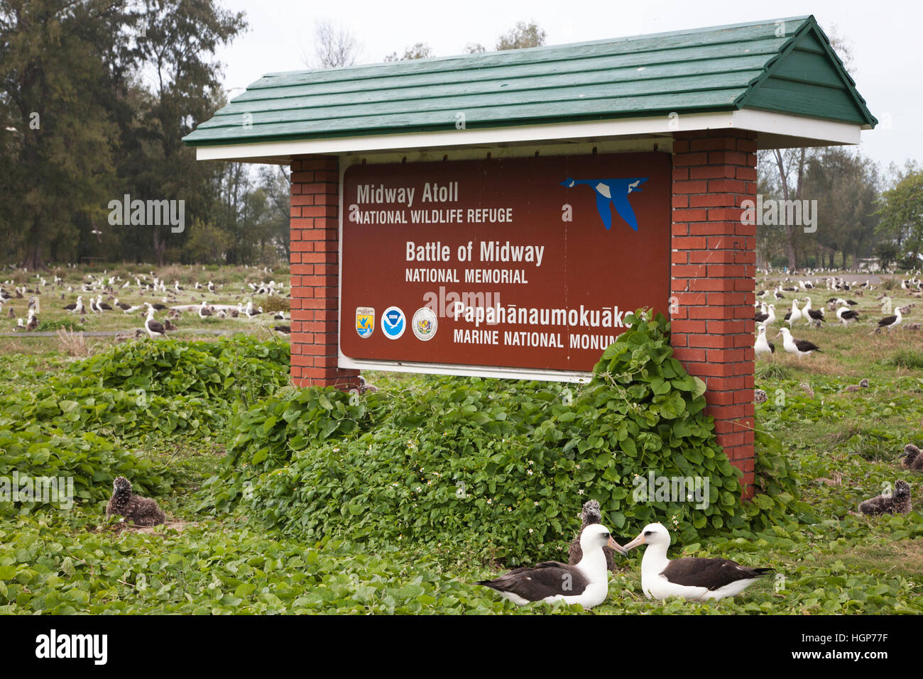 Midway Atoll National Wildlife Refuge sign in Laysan Albatross colony Stock Photo