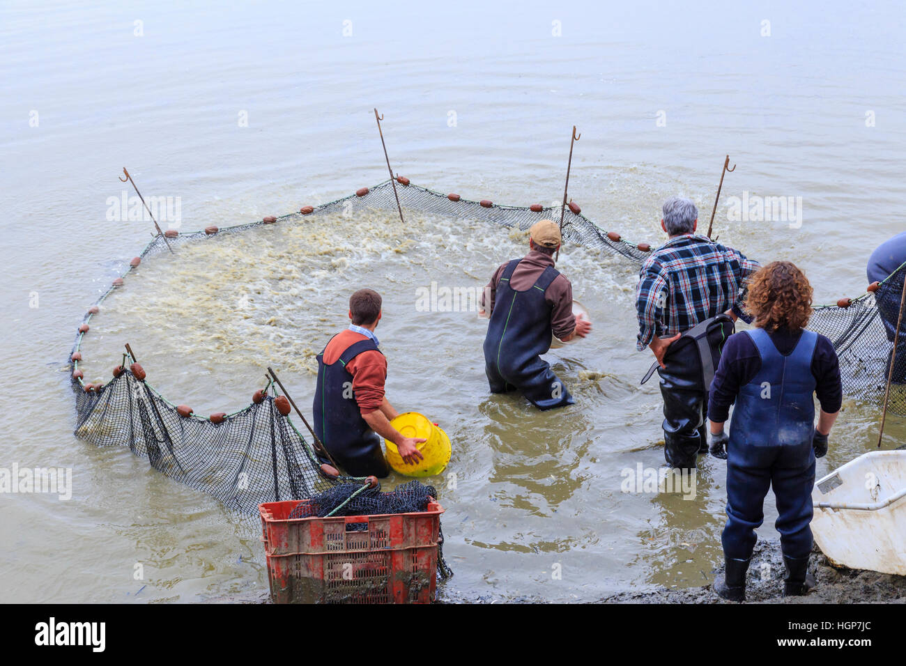 Fishing in a pond, Regional Natural Reserve of Brenne, Rosnay, France Stock Photo