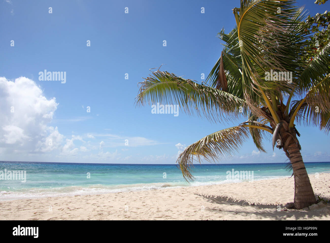 Beautiful turquoise sea & golden sand on the beach, Falmouth, Jamaica, Caribbean. Stock Photo