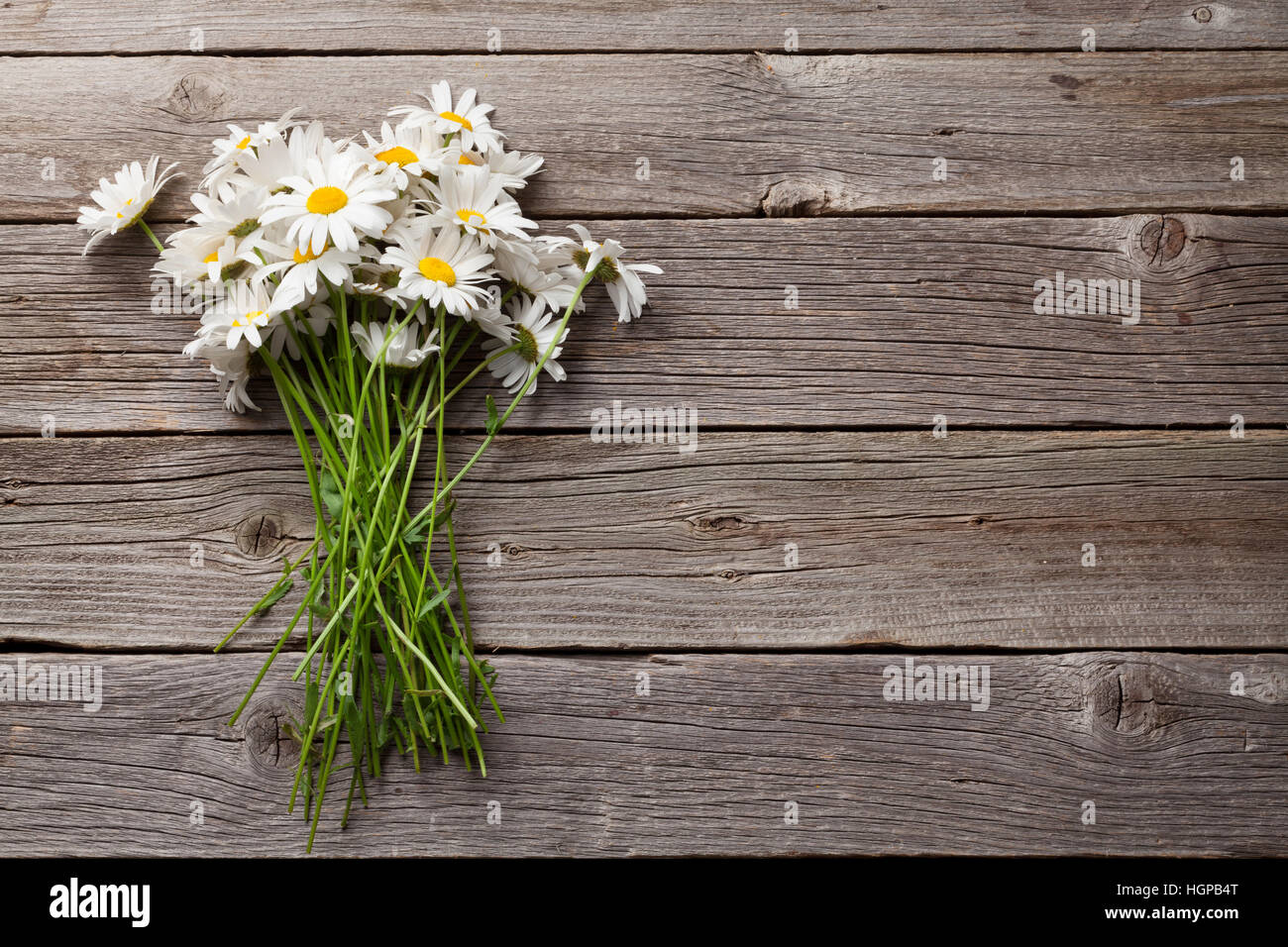 Daisy chamomile flowers on wooden garden table. Top view with copy