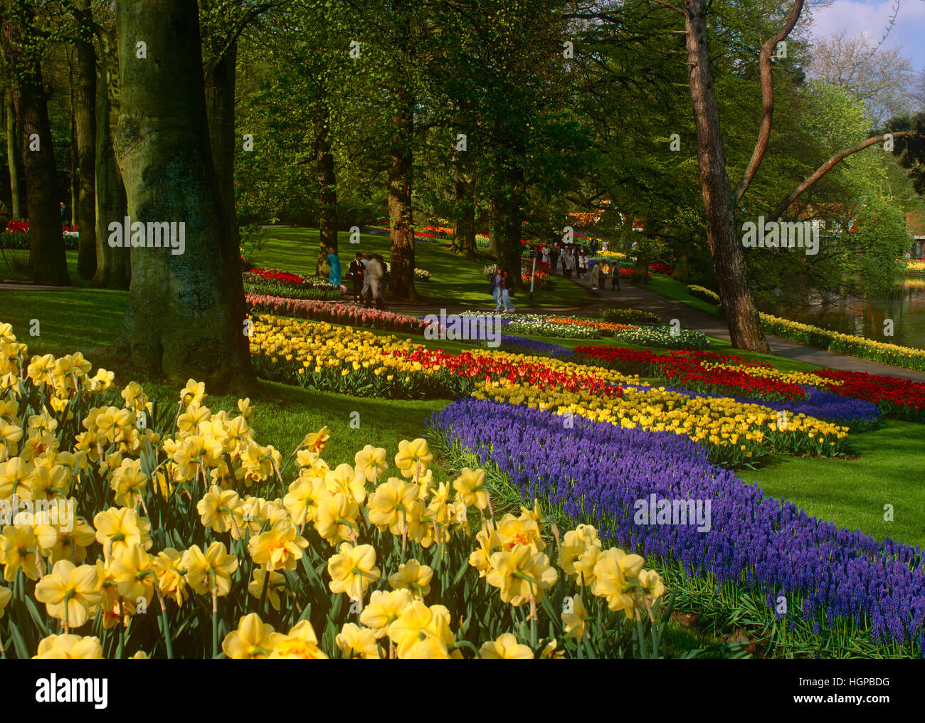 Tourists at Keukenhof Gardens, near Lisse, Holland, the Netherlands Stock Photo