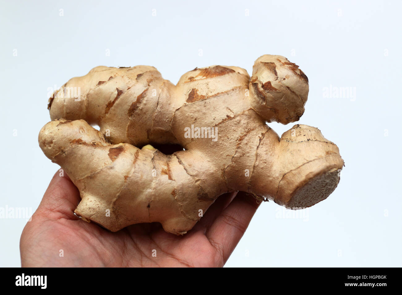 Close up of Ginger or known as Zingiber officinale isolated Stock Photo