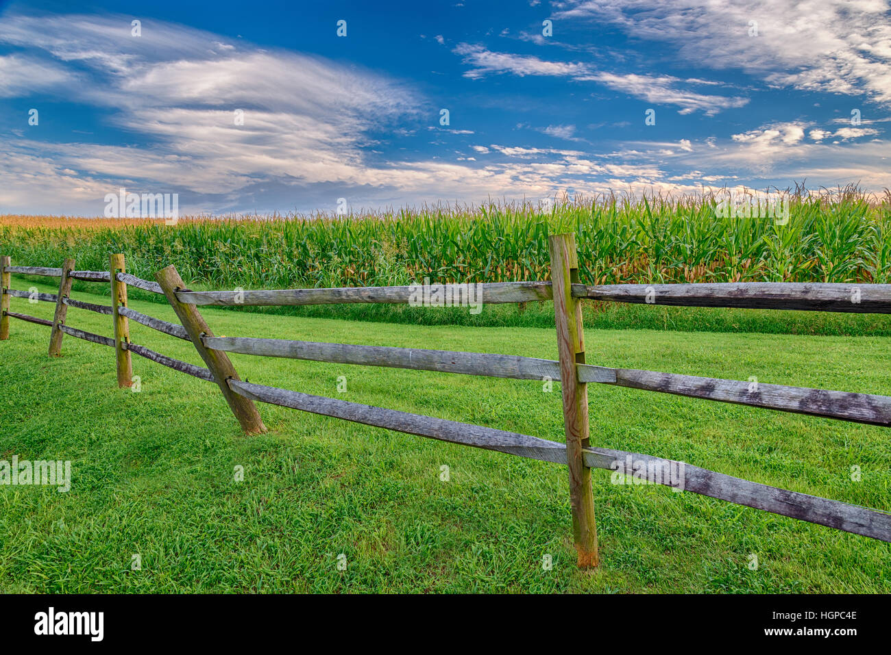 Agriculture Farming Fence Field High Resolution Stock Photography and ...