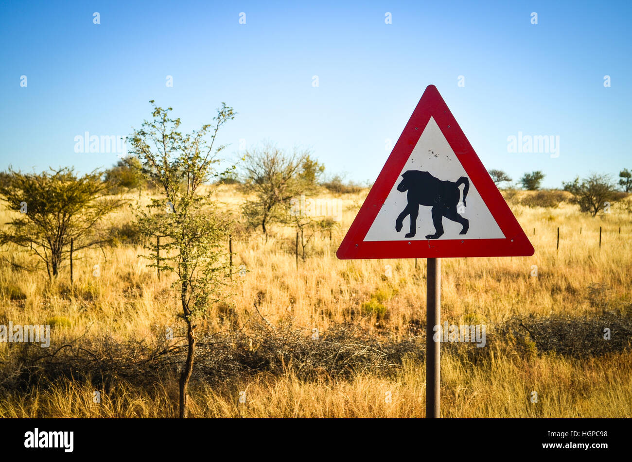 Road sign warning for monkeys in Namibia Stock Photo