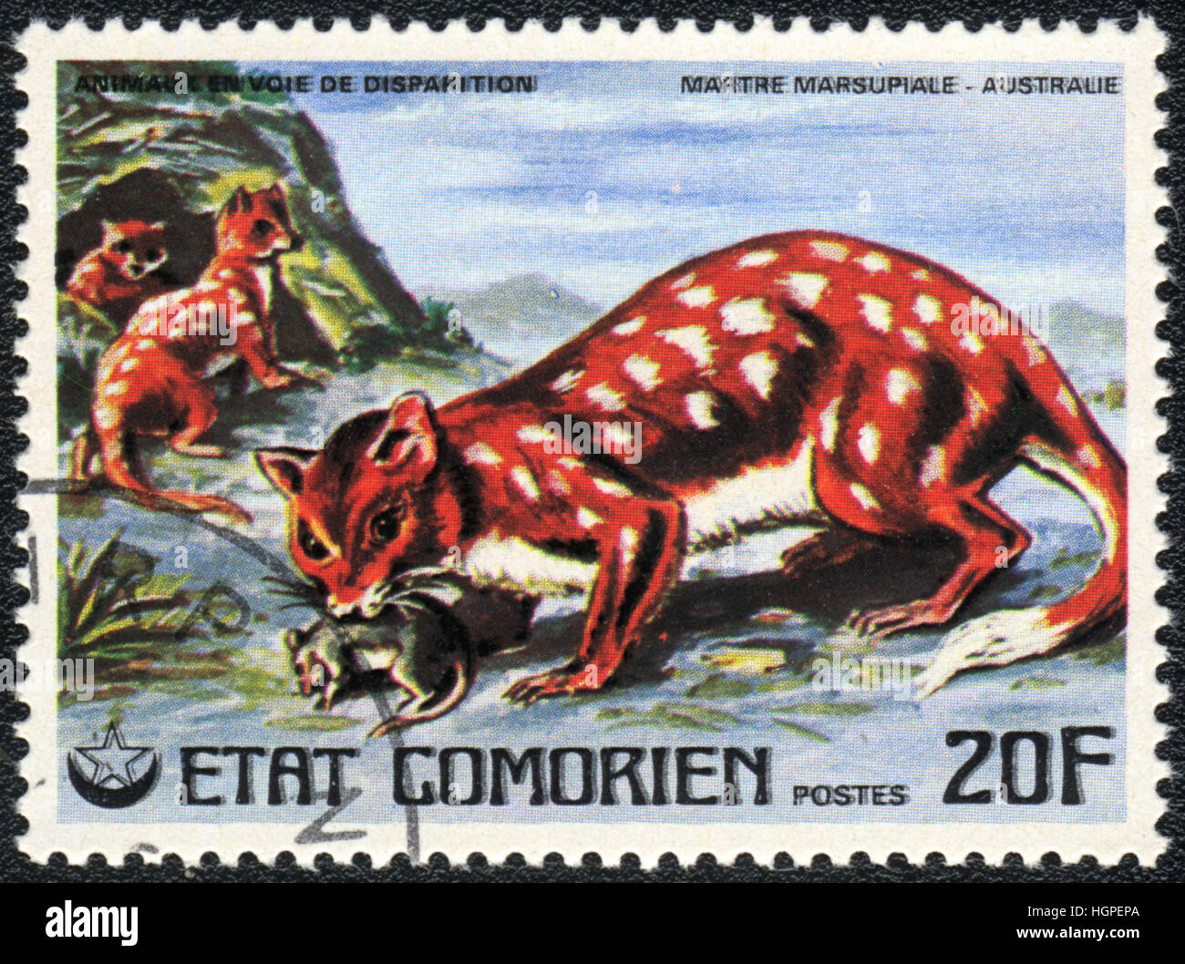 A postage stamp printed in Comoros shows Martre marsupiale, 1980 Stock Photo