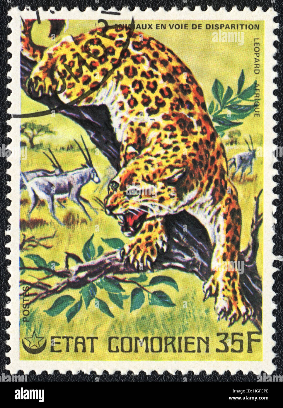 A postage stamp printed in Comoros shows  Leopard, 1980 Stock Photo