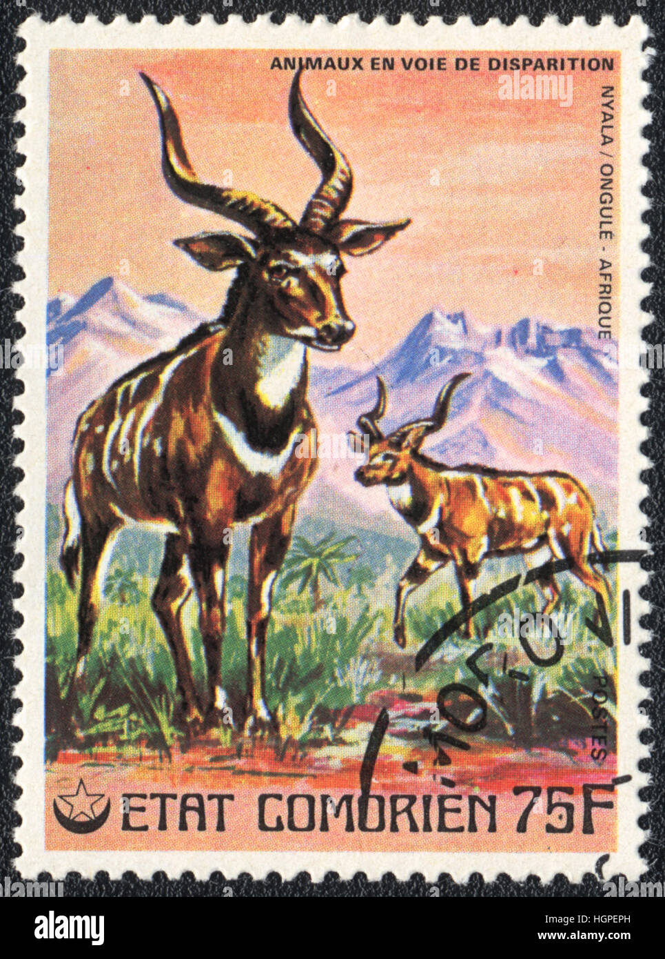 A postage stamp printed in Comoros shows Mountain deer Nyala, 1980 Stock Photo