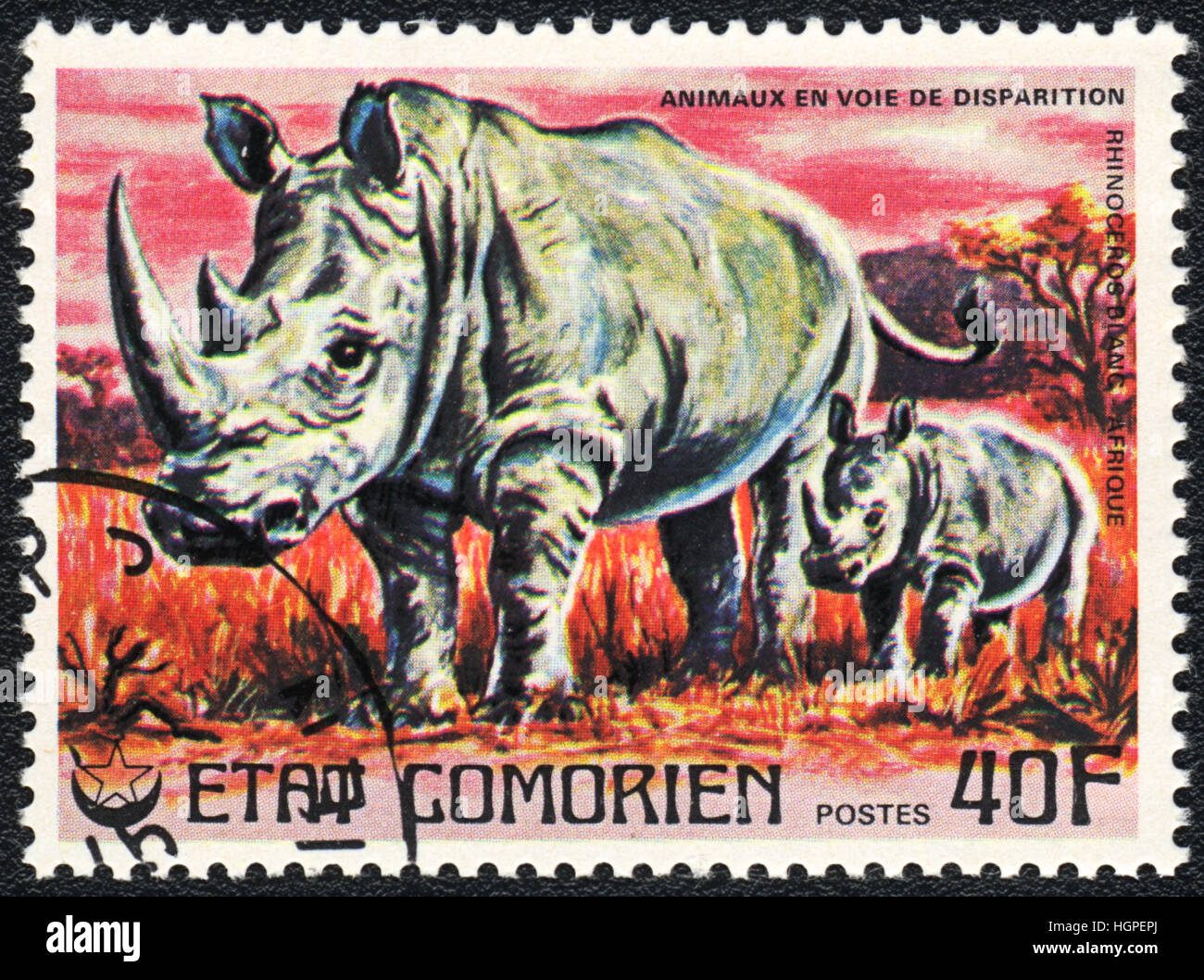 A postage stamp printed in Comoros shows  Rhinoceros,  1980 Stock Photo