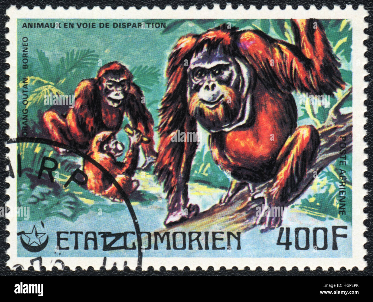A postage stamp printed in Comoros shows Orangutans, 1980 Stock Photo