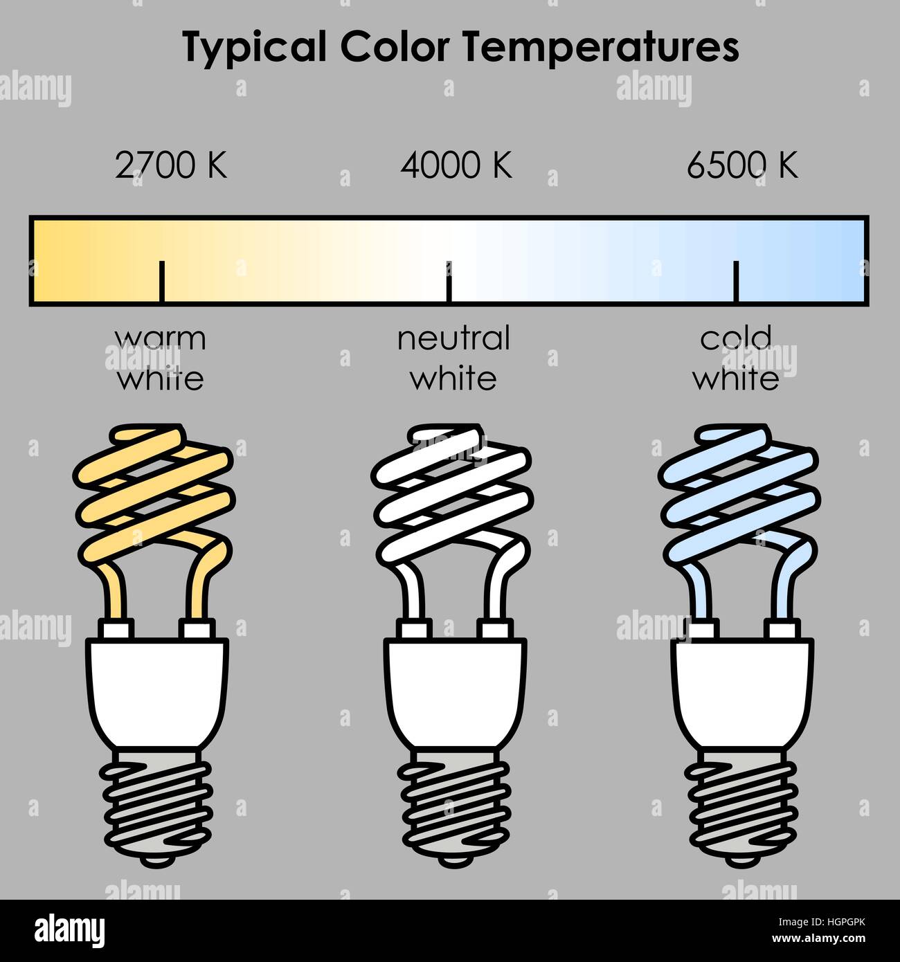 Compact fluorescent light bulbs with typical color temperatures. Vector  illustration Stock Vector Image & Art - Alamy