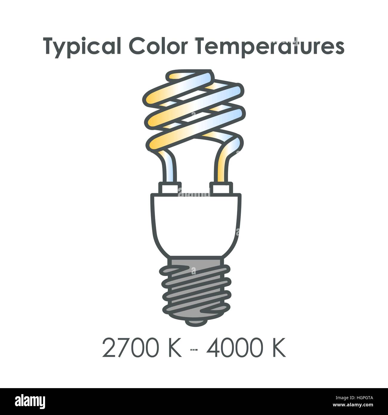 Compact fluorescent light bulb with typical color temperatures. Vector