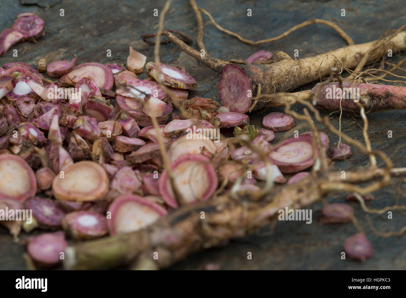 Gewöhnliche Nachtkerze, Wurzel, Wurzeln, Nachtkerze-Wurzel, Nachtkerze-Wurzeln, Nachtkerzen-Wurzel, Nachtkerzen-Wurzeln, in Scheiben geschnitten, Wurz Stock Photo