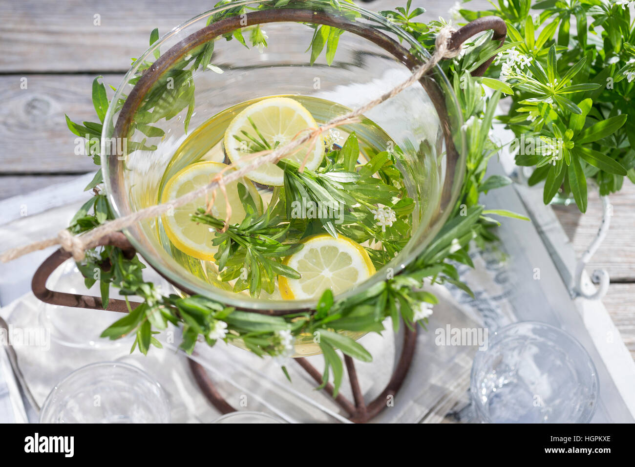 Waldmeister-Bowle, Waldmeisterbowle, Mai-Bowle, Maibowle, Maiwein,  Maitrank, Bowle mit Waldmeister, Weißwein, Zitrone, Wald-Meister, Galium  odoratum Stock Photo - Alamy