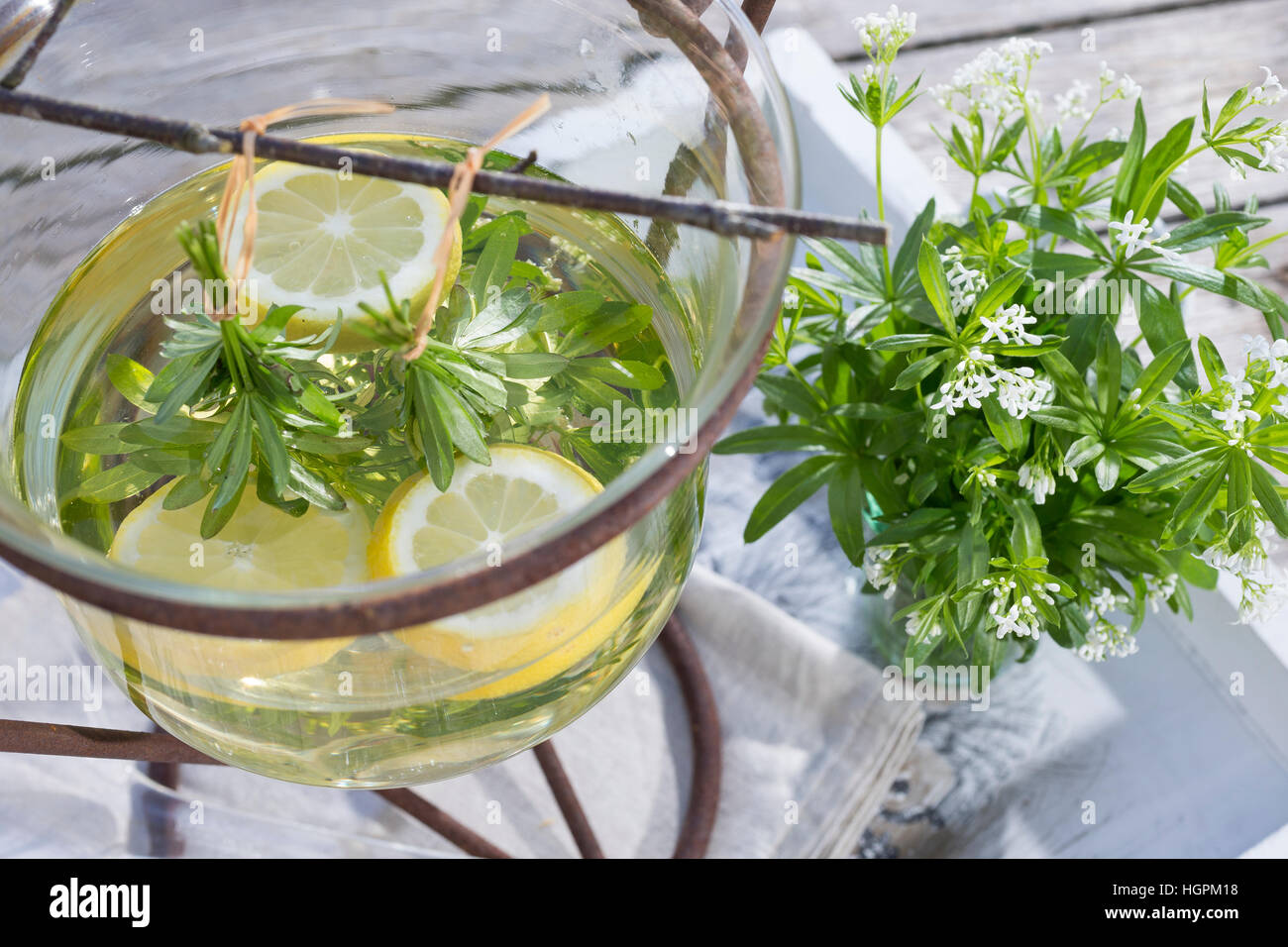 Maibowle Mit Waldmeister — Rezepte Suchen