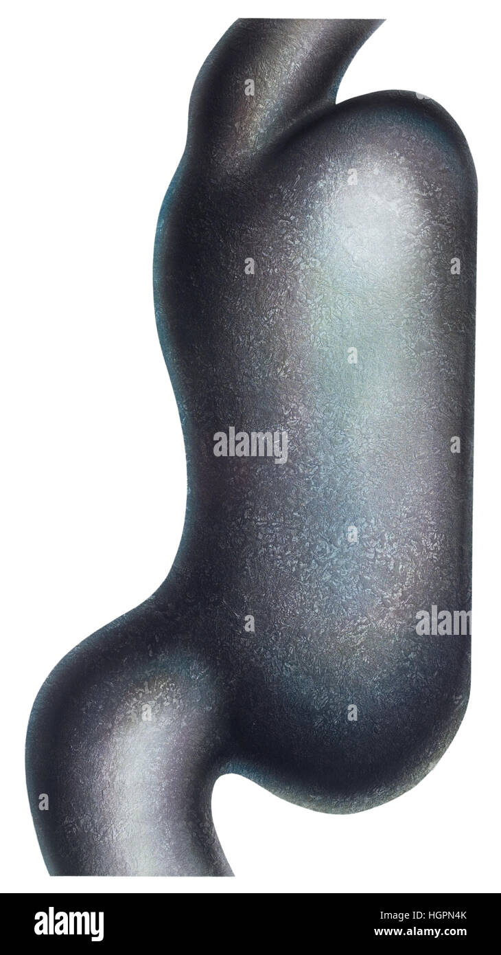 Stomach stylized to look like it's made of cast iron Stock Photo Alamy