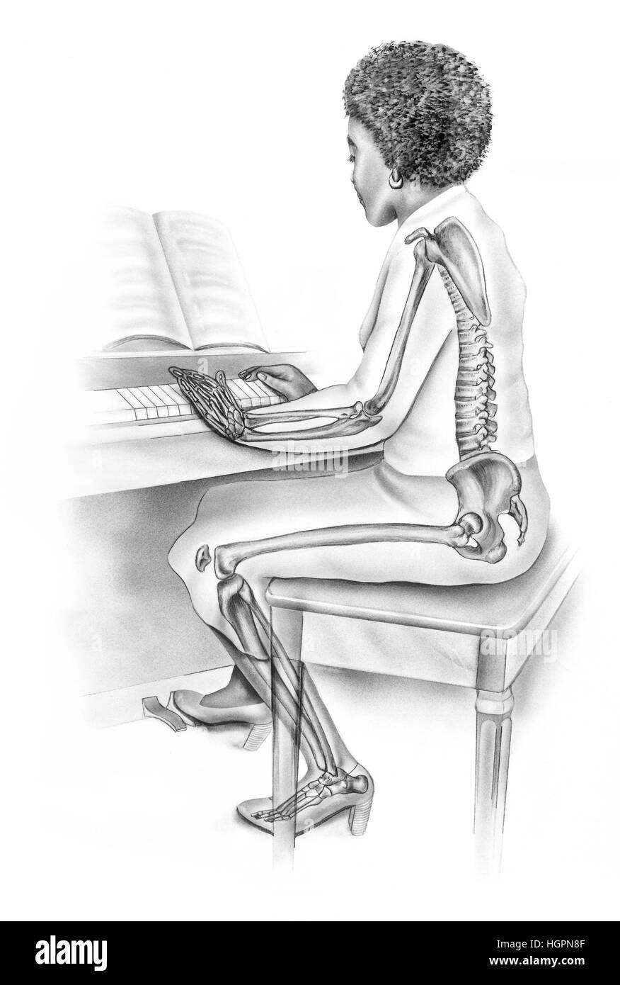 Women's Anatomy in Everyday Life - Skeletal Structure of Woman Playing Piano.  Shown are the ankle, knee, wrist, elbow, and shoulder joints within an o  Stock Photo - Alamy