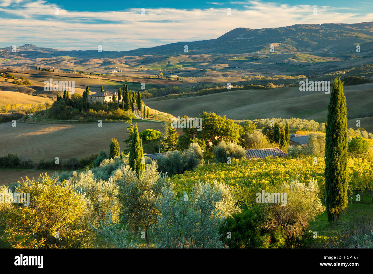 Late afternoon sunlight on the Belvedere and countryside of Val d'Orcia near San Quirico, Tuscany, Italy Stock Photo