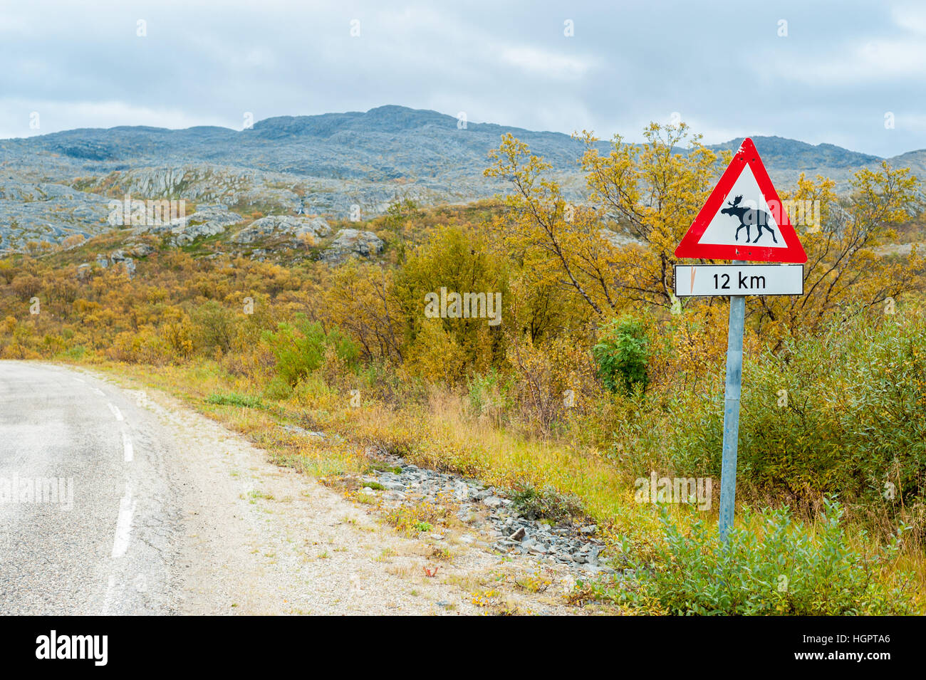 Empty road with traffic signal warning about possible reindeer crossing Stock Photo