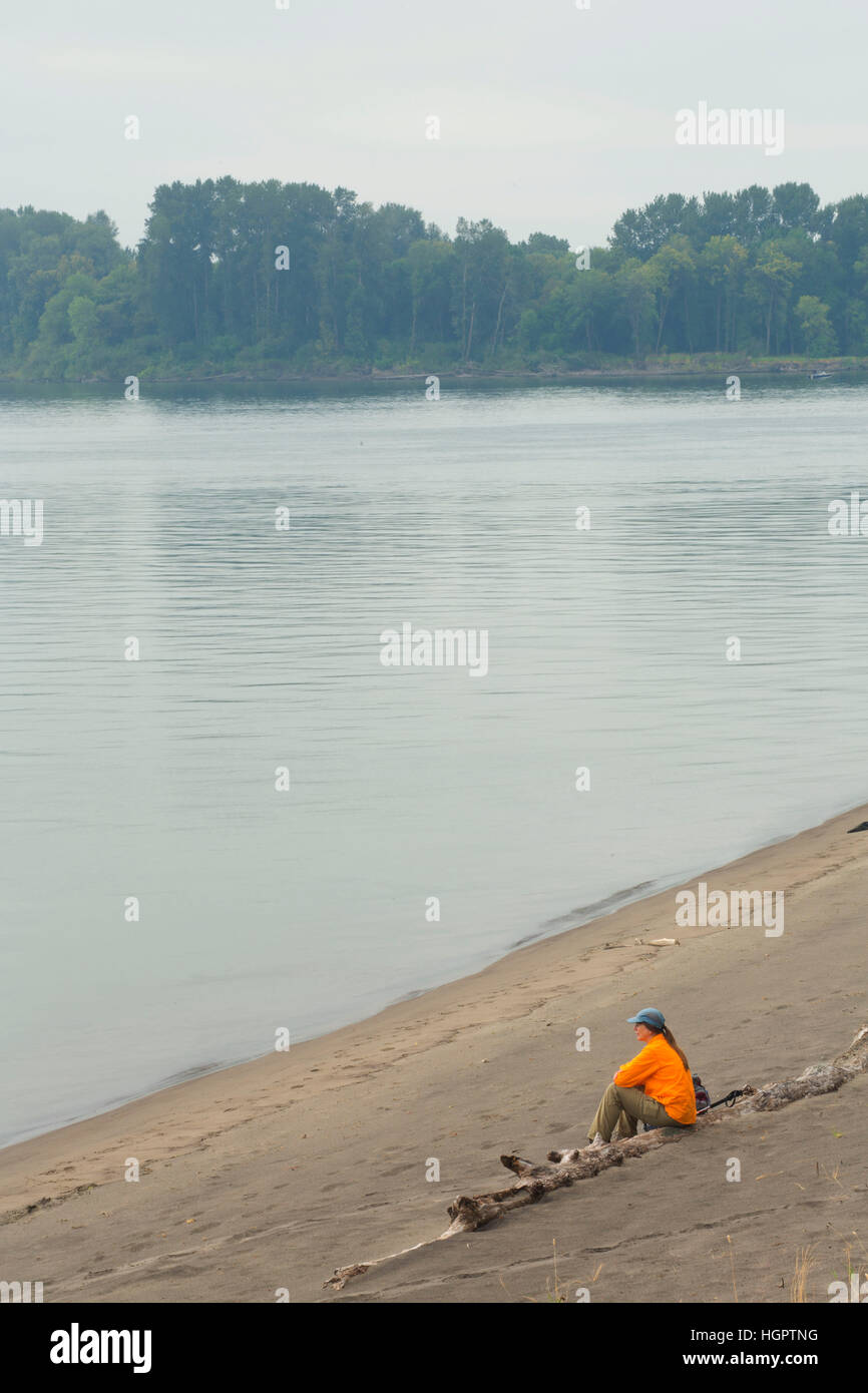 Warrior Rock beach at Warrior Rock Trail, Sauvie Island Wildlife Area, Oregon Stock Photo Alamy