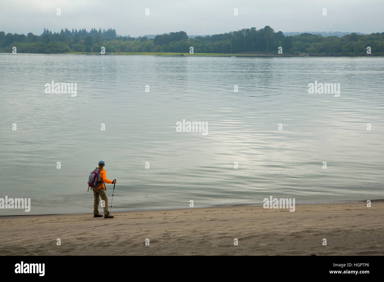 Warrior Rock beach walk at Warrior Rock Trail, Sauvie Island Wildlife Area, Oregon Stock Photo