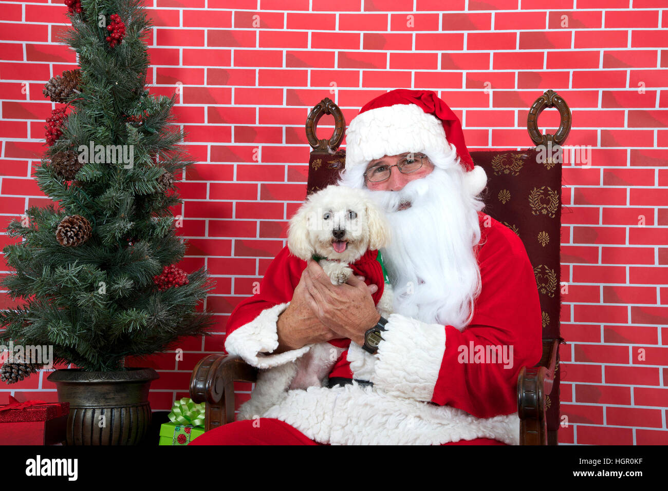 Santa claus white long haired hi-res stock photography and images - Alamy