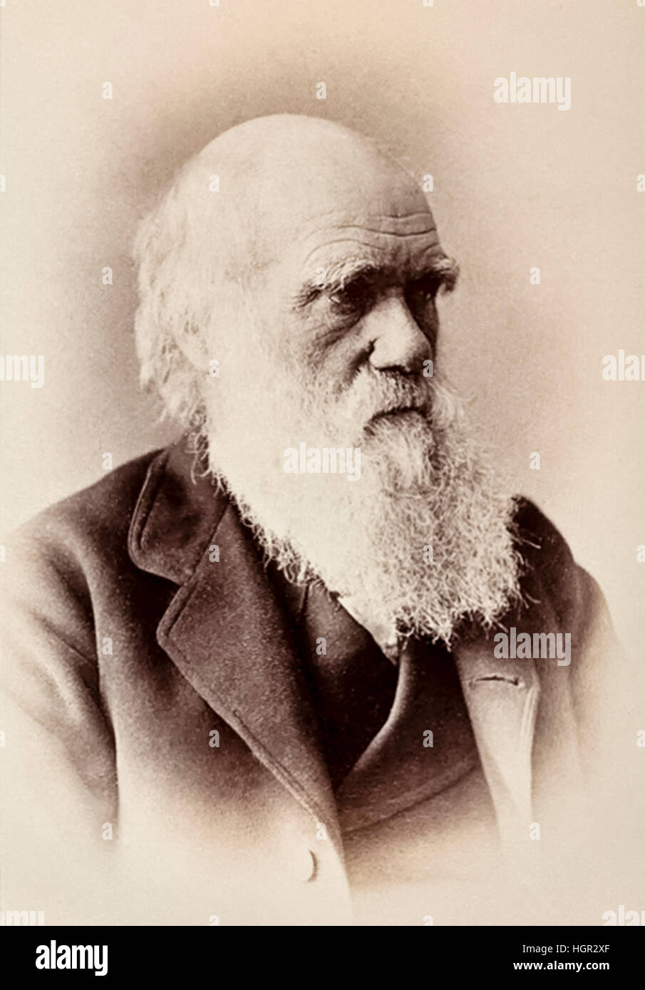 Charles Darwin (1809-1882) English naturalist who first set out his theory of evolution and natural selection in his book 'On the Origin of Species' published in 1859. Photograph taken in 1881, the year the Natural History Museum opened in London. See description for more information. Stock Photo