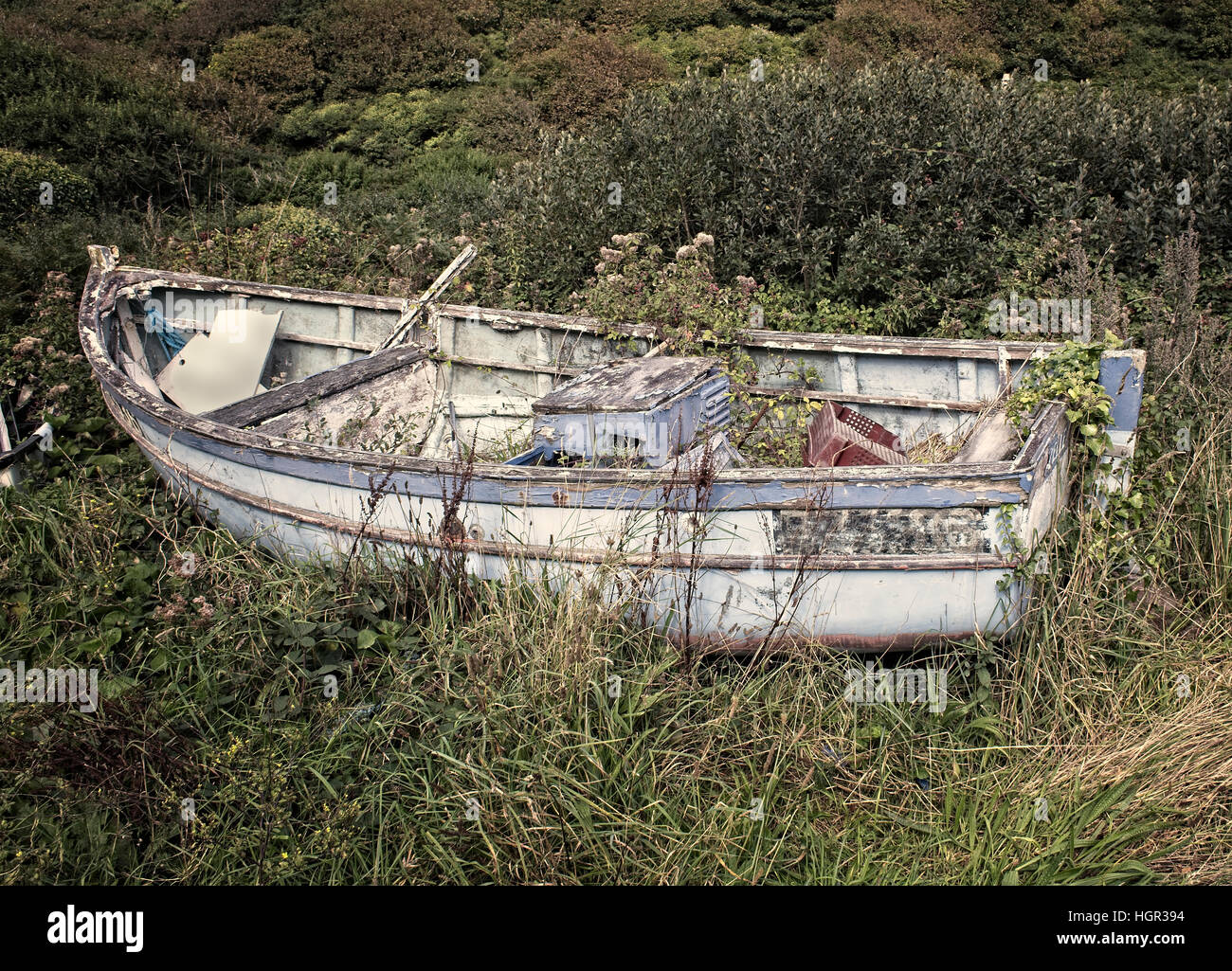 Neglected fishing boat, decaying in the hedge, Penberth, Cornwall, England, UK. Stock Photo