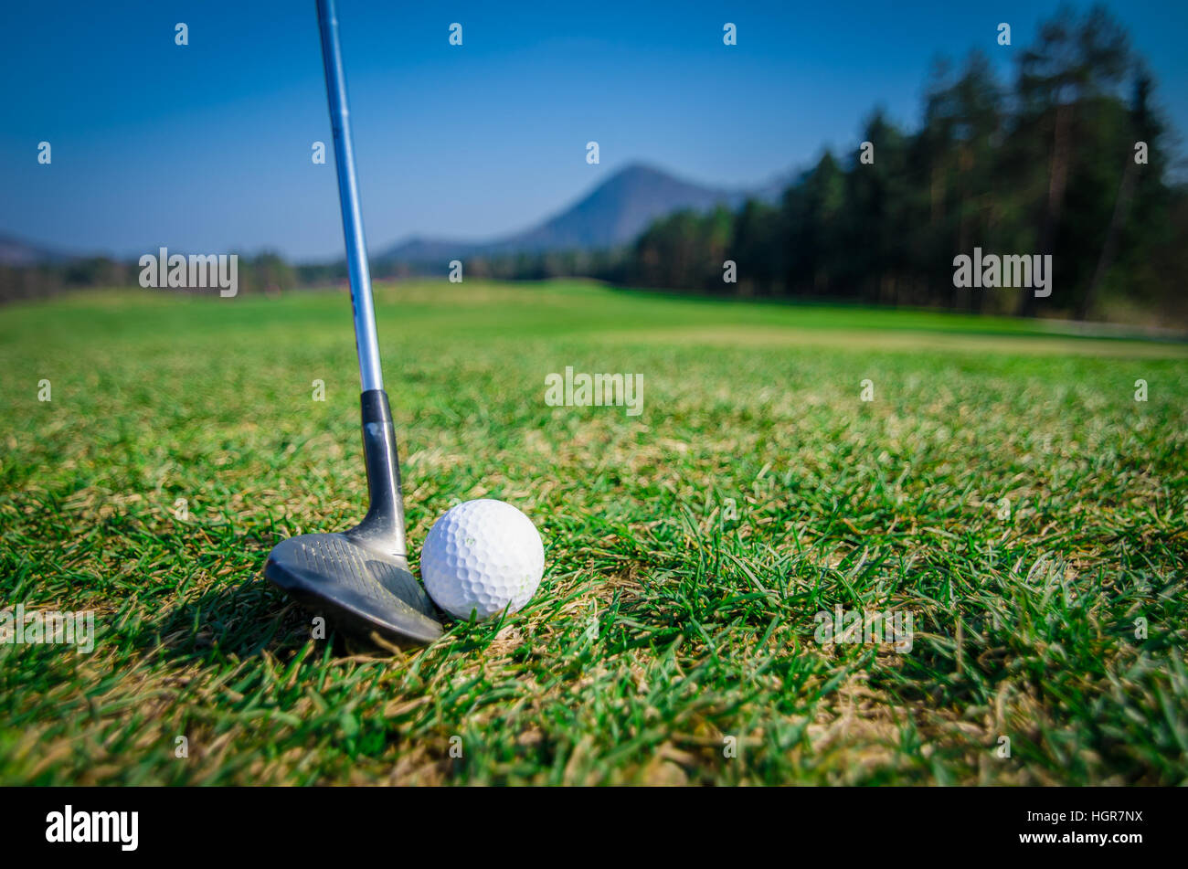 Golfer is chipping a golf ball onto the green with driver golf club