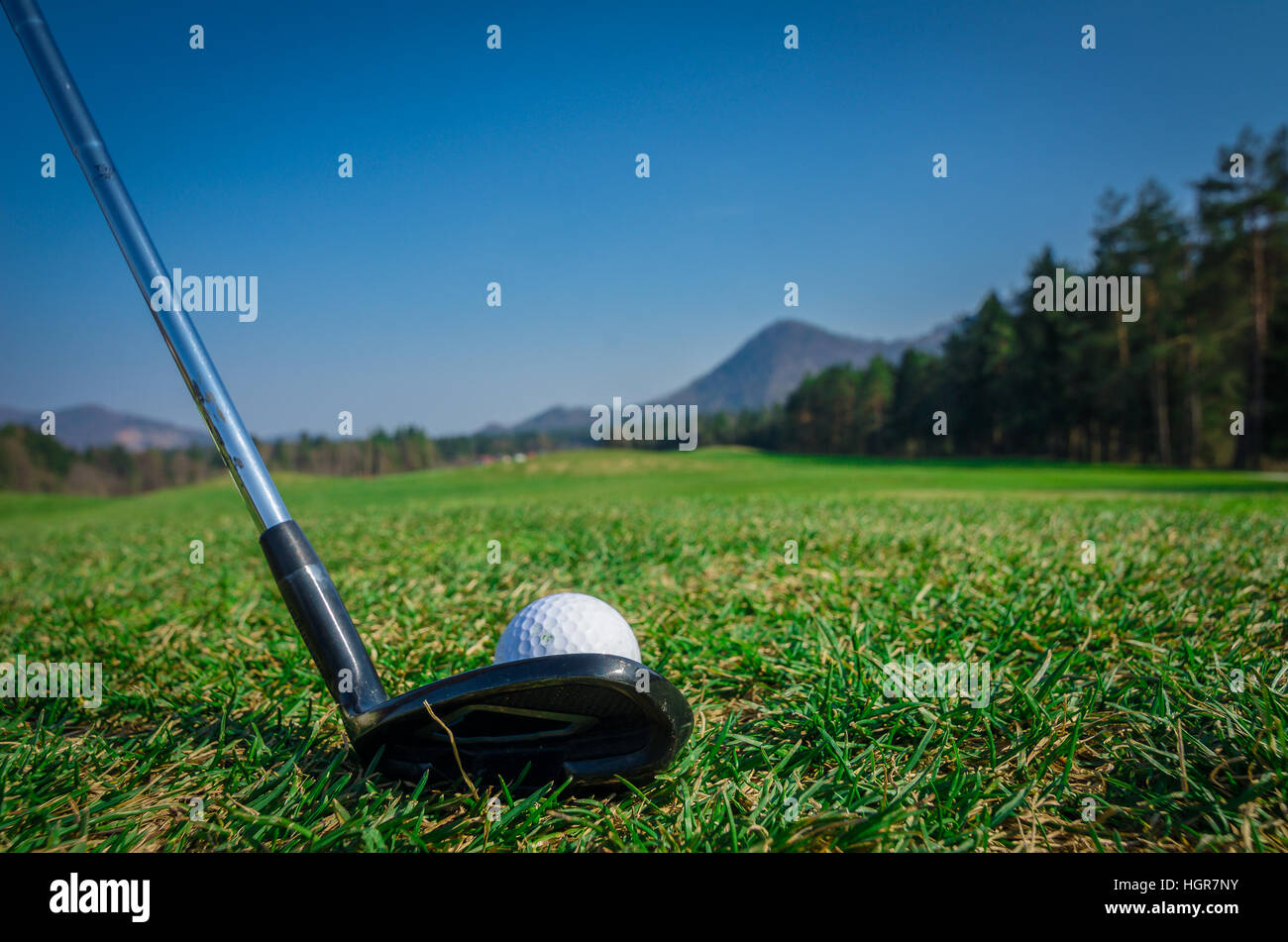 Golfer is chipping a golf ball onto the green with driver golf club