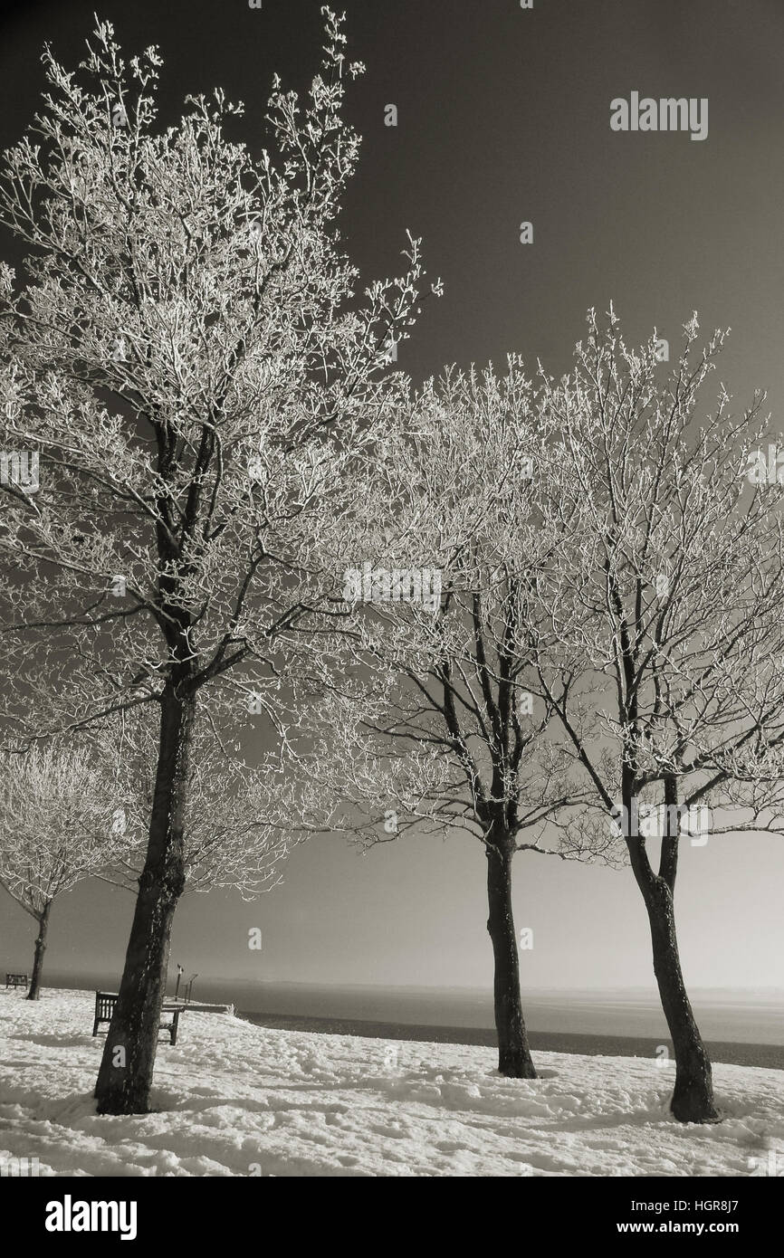 cliff road, Hessle Stock Photo Alamy