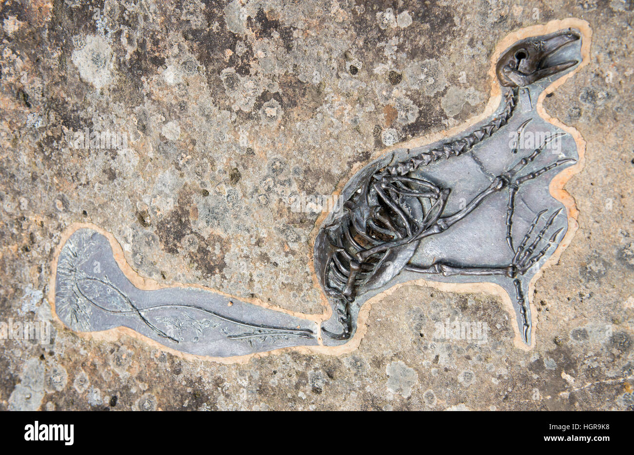 Close up of Fossil Stones by Paul Blizzard, MacArthur Street in