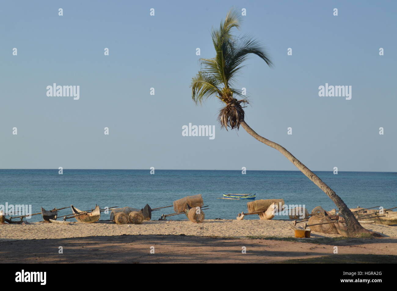 Wooden Pirogues & Palm trees on the shores of Andilana beach in Nosy Be, Madagascar. Stock Photo